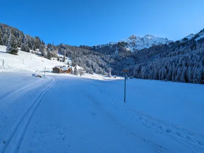 Photo 3