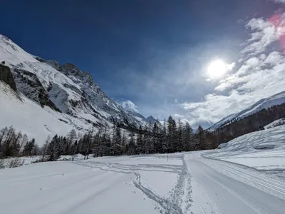 Photo 4