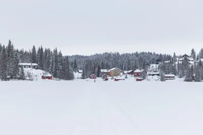Svea