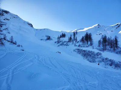 Photo 4