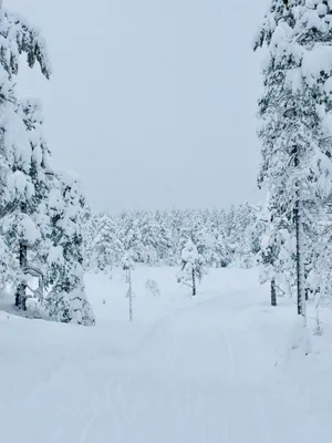 Glåmene