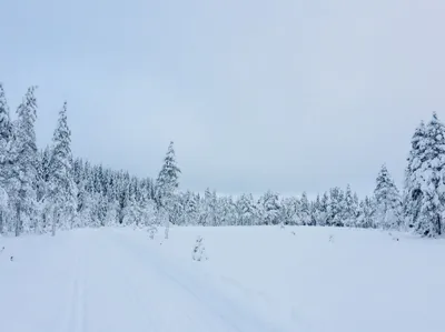 Glåmene