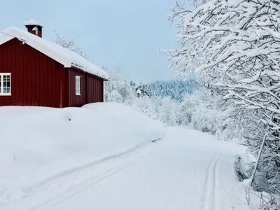 Blankvannsbråten