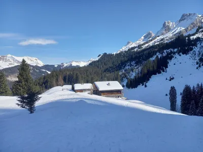 Photo 16