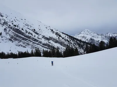 Photo 5