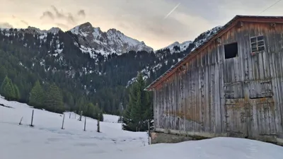 Photo 3