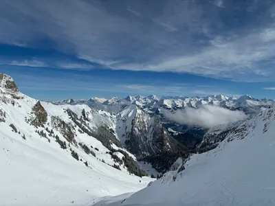 Photo 4