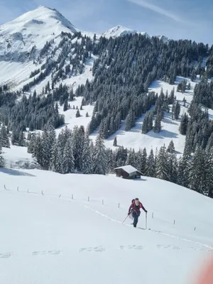 Photo 3