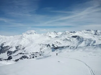 Photo 5