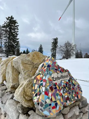 Photo 4