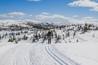 Vikerfjellet bak til høyre