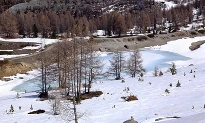Photo 6
