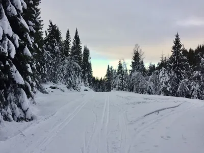 Fortsatt vinterlig over Oppkuven