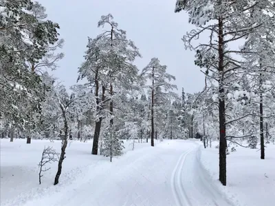 Sør for Koperud