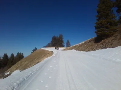 South facing slopes melting out