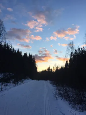 Opp fra Fløyta