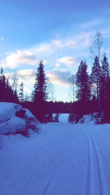 Holmetjern