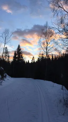 Opp fra Fløyta